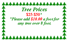 Text Box: Tree PricesBlue Spruce $40.00*Everything Else $45.00**Please add $5.00 a foot for any tree over 8 foot.